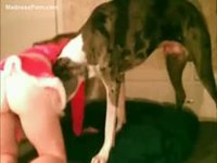 Fresh-faced teenage amateur licked by a racing dog in this zoo sex video